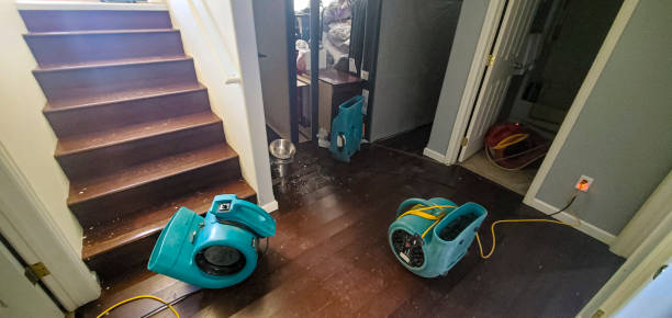 Best Flooded house restoration  in Randolph Af, TX