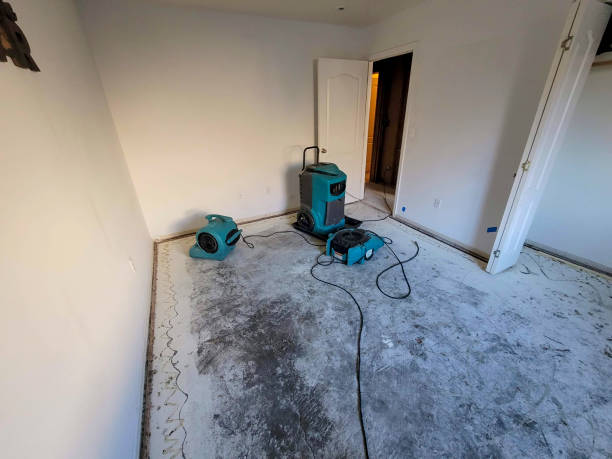 Best Flood damage cleanup  in Randolph Af, TX