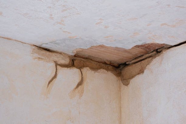 Best Professional water damage repair  in Randolph Af, TX