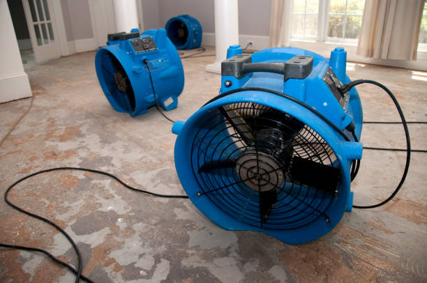 Best Water damage restoration experts  in Randolph Af, TX