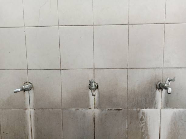 Water damage restoration mold remediation in Randolph Af, TX