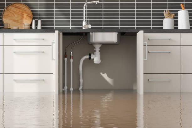 Best Basement water damage restoration  in Randolph Af, TX