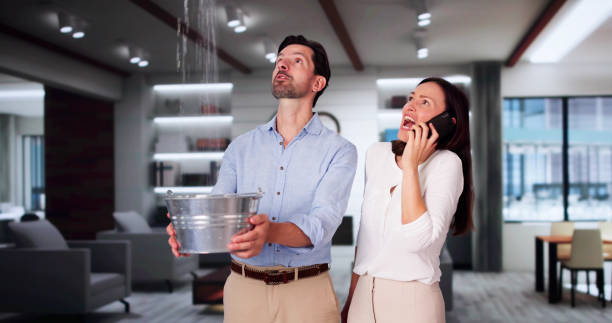 Best Fire Damage Restoration  in Randolph Af, TX