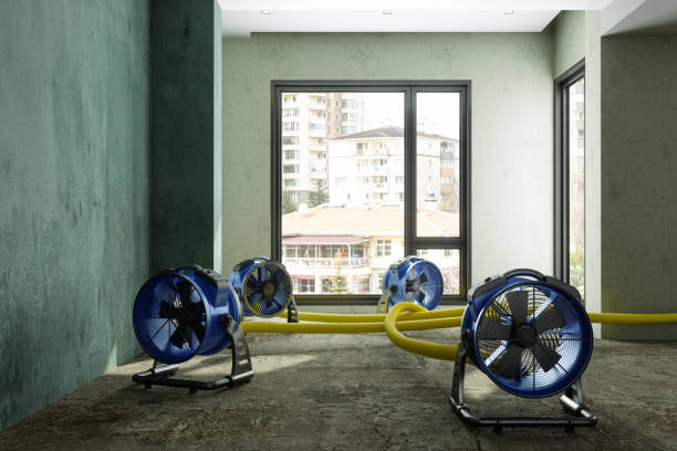 Best Emergency water damage restoration  in Randolph Af, TX