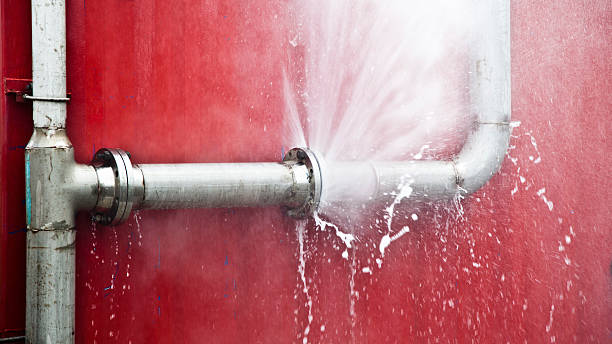 Best Water damage contractors near me  in Randolph Af, TX