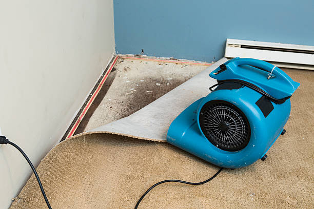 Best Water damage restoration process  in Randolph Af, TX